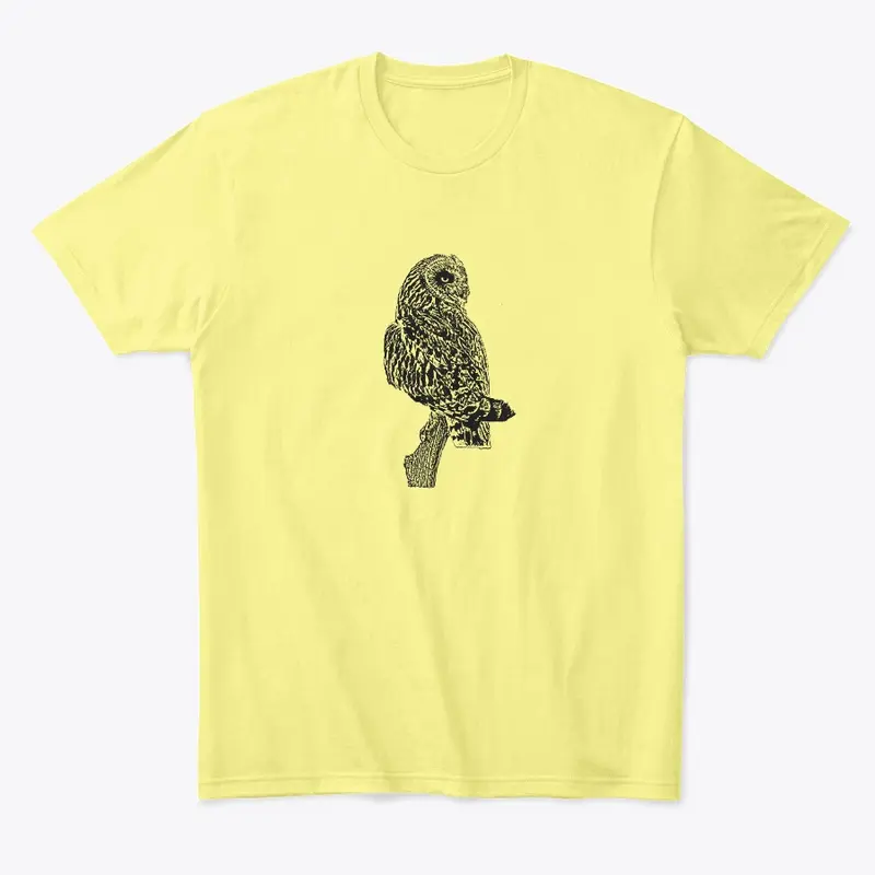 Short-eared Owl Birdwatching