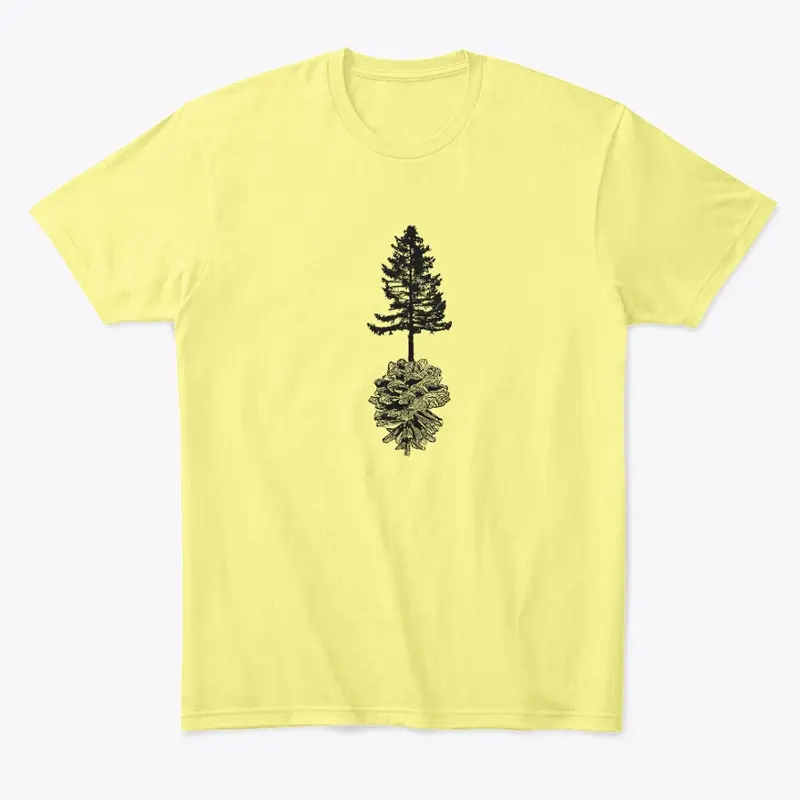 Evergreen Tree and Pine Cone